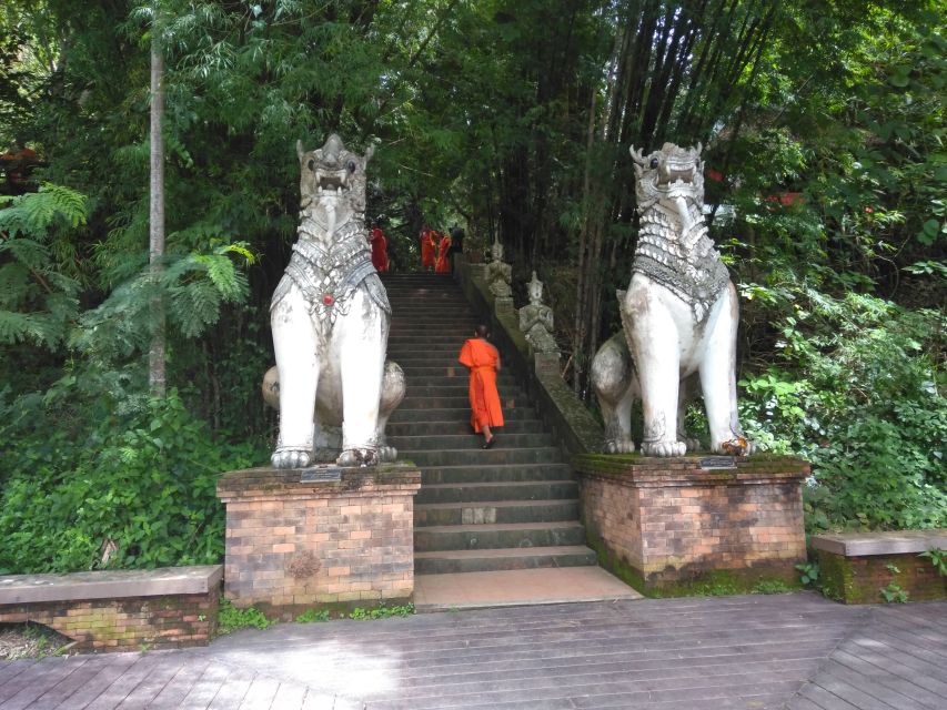 Chiang Mai: 7-Hour Doi Suthep National Park Summit Hiking - Key things to know before you go