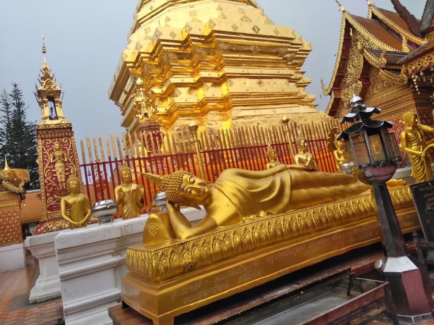Chiang Mai: 7-Hour Doi Suthep National Park Summit Hiking - Doi Pui village time plus the Mae Ping Valley viewpoints