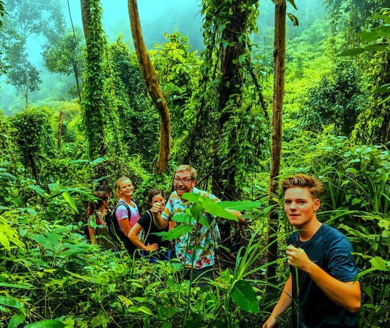 Chiang Mai: 7-Hour Doi Suthep National Park Summit Hiking - Guides, first aid, and small-group vibes that keep it fun