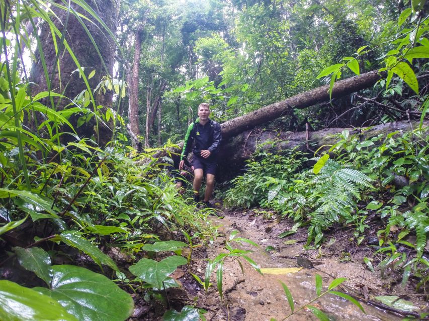 Chiang Mai: 7-Hour Doi Suthep National Park Summit Hiking - Price and logistics: is $60 worth it?