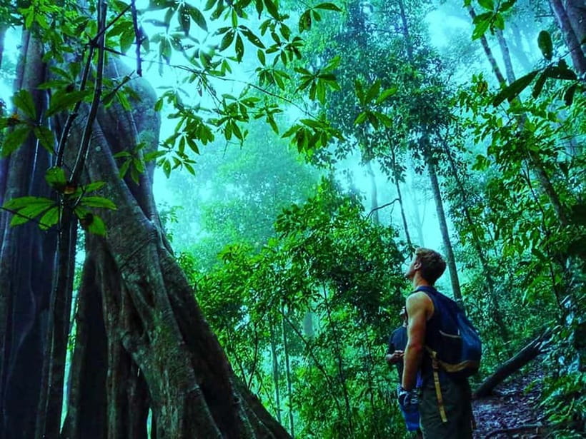 Chiang Mai: 7-Hour Doi Suthep National Park Summit Hiking - Who should book this hike, and who should skip it?