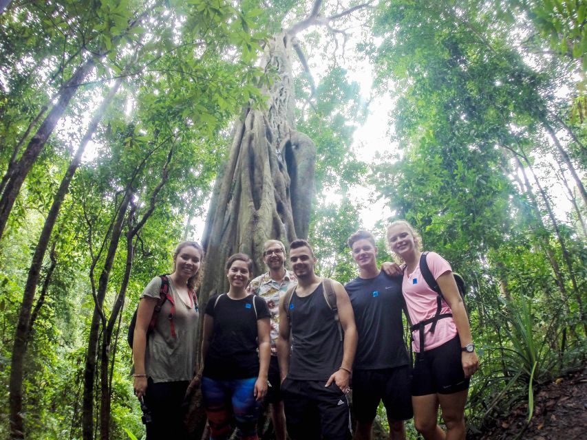 Chiang Mai: 7-Hour Doi Suthep National Park Summit Hiking - Wat Phra That Doi Suthep: temple views before the deeper trek