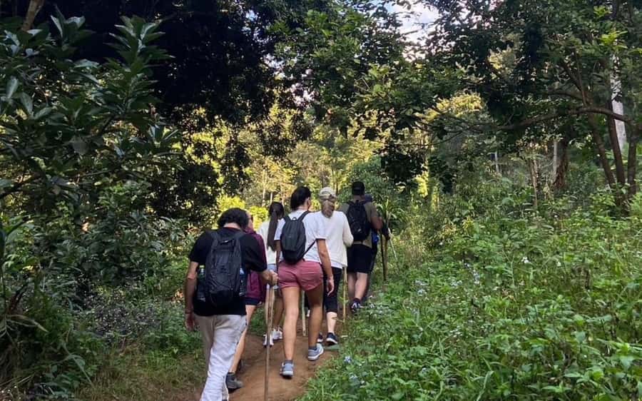 Chiang Mai: ATV Adventure, Jungle Hike & White Water Rafting - Practical Packing Checklist for Wet, Dusty, and Active