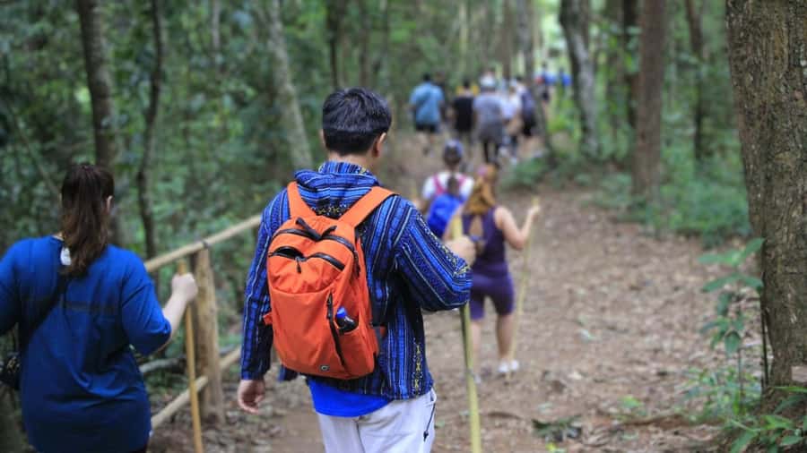 Chiang Mai: Doi Inthanon and Elephant Sanctuary Tour & Hike - Elephant Sanctuary Time: Watching, Feeding, and Cooling Your Brain