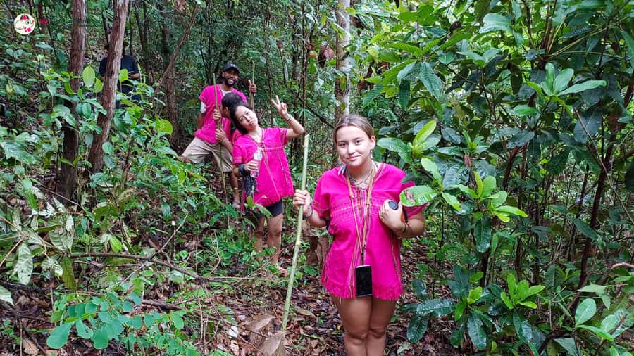 Chiang Mai: Doi Inthanon and Elephant Sanctuary Tour & Hike - Doi Inthanon National Park: Cool Air, Mist, and Big Views