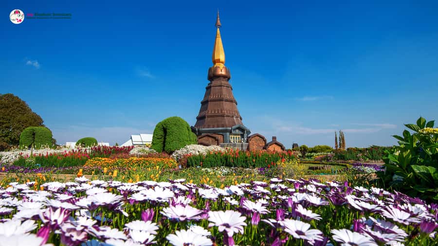 Chiang Mai: Doi Inthanon and Elephant Sanctuary Tour & Hike - Lunch, Tea, Coffee, and What Your $93 Really Buys