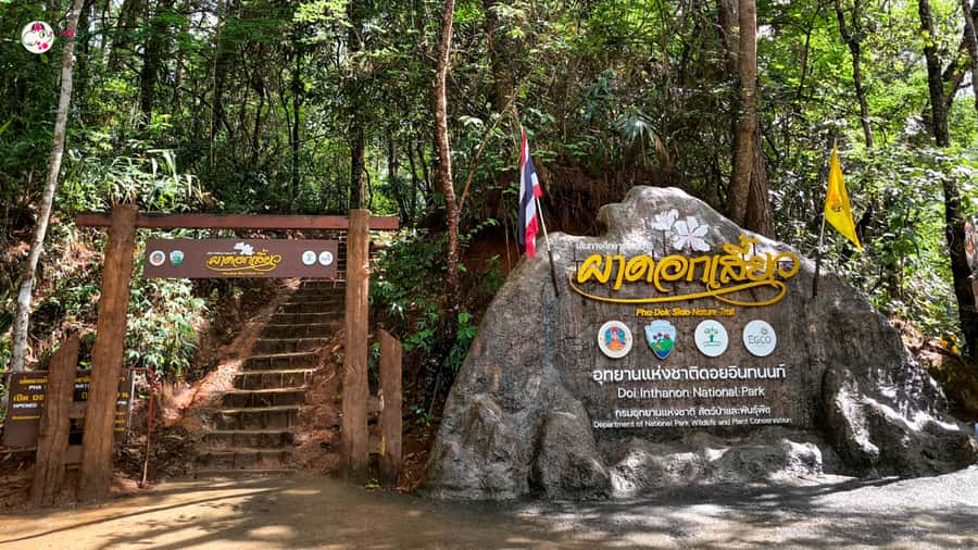 Chiang Mai: Doi Inthanon and Elephant Sanctuary Tour & Hike - The “Rough Terrain” Reality: How the Day Changes in Rain