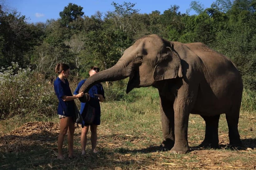 Chiang Mai: Doi Inthanon Hiking & Elephant Sanctuary Program - Key things that make this day worth it