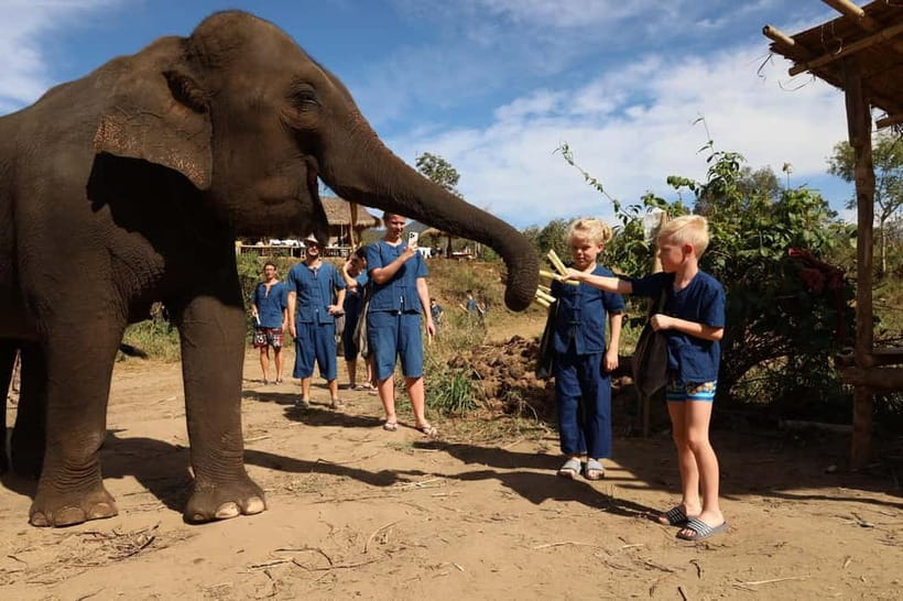 Chiang Mai: Doi Inthanon Hiking & Elephant Sanctuary Program - Your elephant guide can change, but the job stays the same