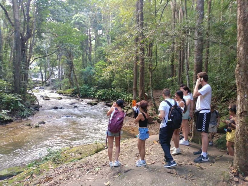 Chiang Mai: Doi Inthanon Hiking & Elephant Sanctuary Program - Pad Thai lunch and the sanity check before Doi Inthanon