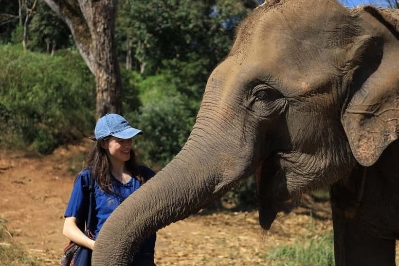Chiang Mai: Doi Inthanon Hiking & Elephant Sanctuary Program - Mo Hom clothing, feeding, and bathing (and why those rules matter)