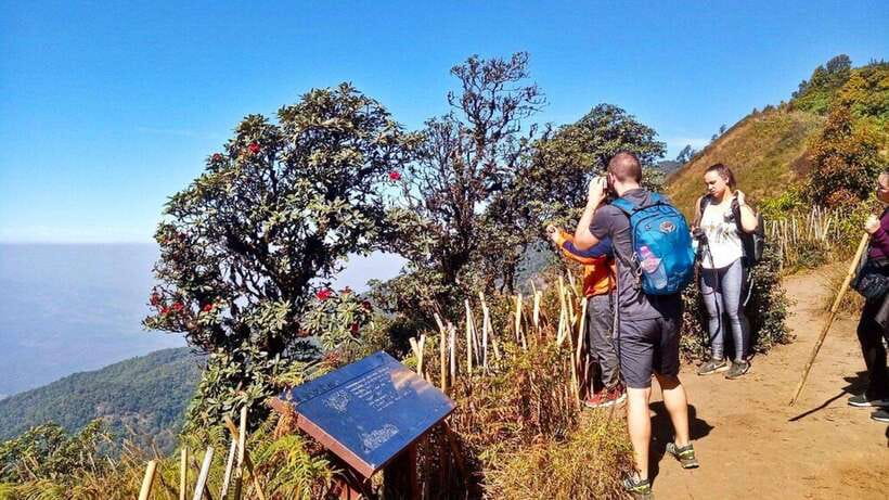 Chiang Mai:Doi Inthanon National Park & Hike at Kew Mae Pan - Key things to know before you go