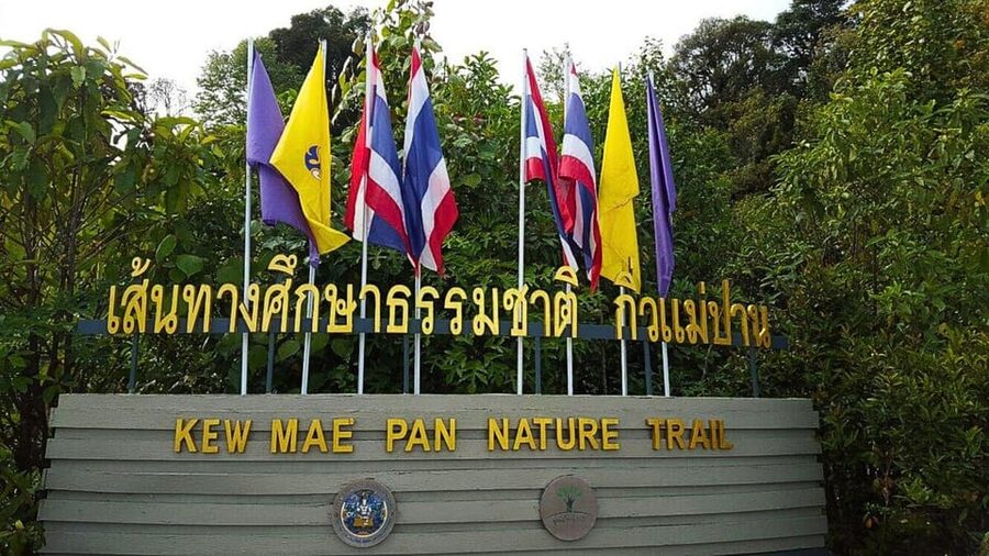 Chiang Mai:Doi Inthanon National Park & Hike at Kew Mae Pan - Ban Mae Klang Luang coffee village: a short, human-scale pause