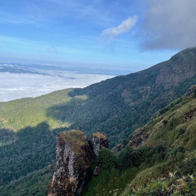 Chiang Mai: Doi Inthanon Park Day Trip with Kiw Mae Pan Hike - Getting There Early: Pickup, Small-Group Energy, and the Long Drive Reality