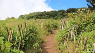 Chiang Mai: Doi Inthanon Park Day Trip with Kiw Mae Pan Hike - Thailand’s Highest Point at 2565m: What the Altitude Stop Feels Like
