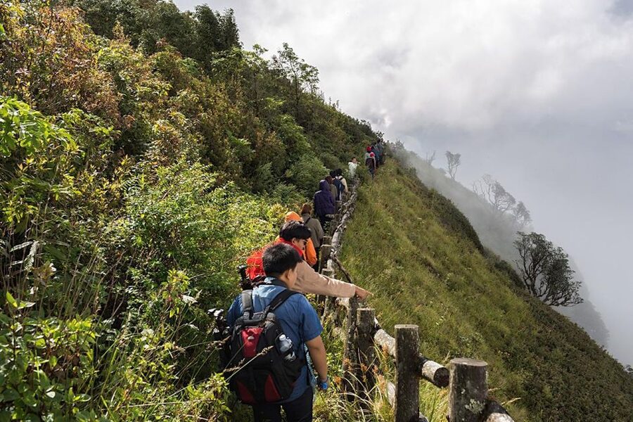 Chiang Mai: Doi Inthanon Park Day Trip with Kiw Mae Pan Hike - Kew Mae Pan Nature Trail: The Guided Walk That Feels Like a Real Outing