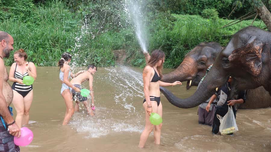 Chiang Mai: Doi Inthanon Park Hiking & Elephants Sanctuary - Doi Inthanon National Park: Lunch First, Then Thailand’s Highest Peak