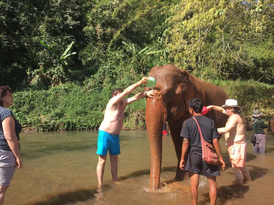 Chiang Mai: Doi Inthanon Park Hiking & Elephants Sanctuary - King and Queen Pagodas: A Peaceful Break You’ll Appreciate