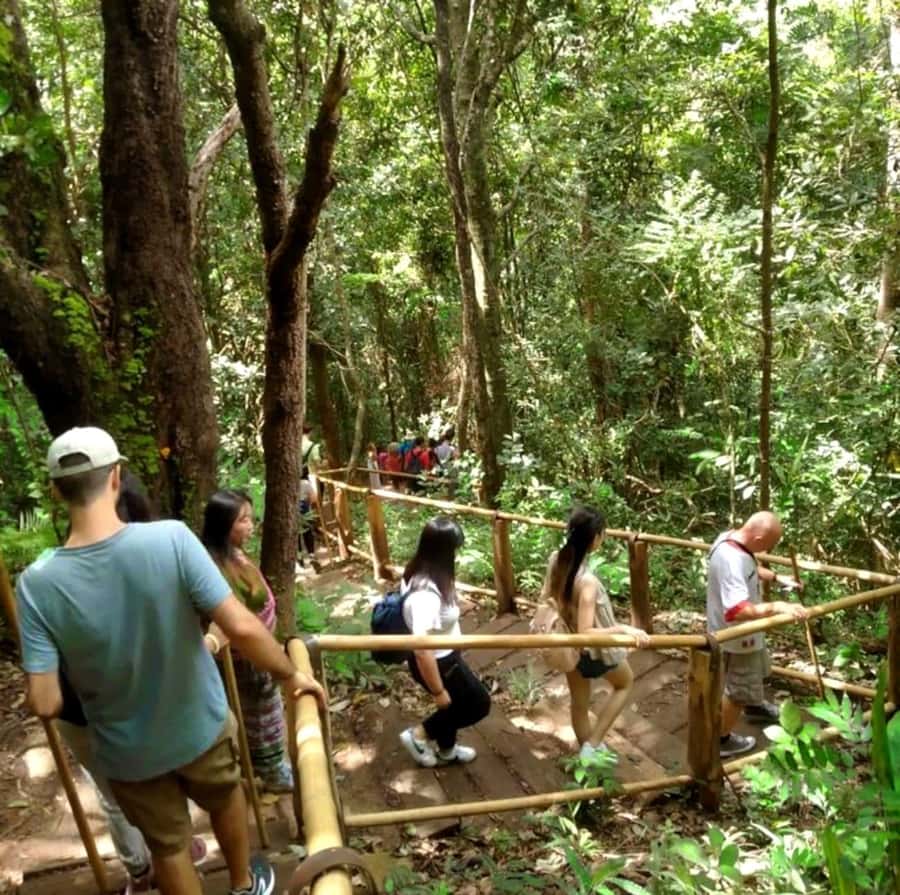 Chiang Mai: Doi Inthanon Park Hiking & Elephants Sanctuary - Pha Dok Siew Nature Trail Trek: Waterfalls, Rice, and Real Hill Scenery