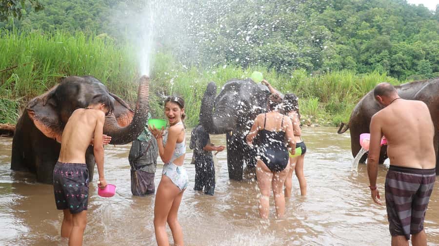 Chiang Mai: Doi Inthanon Park Hiking & Elephants Sanctuary - Who This Tour Fits Best (and Who Should Skip It)