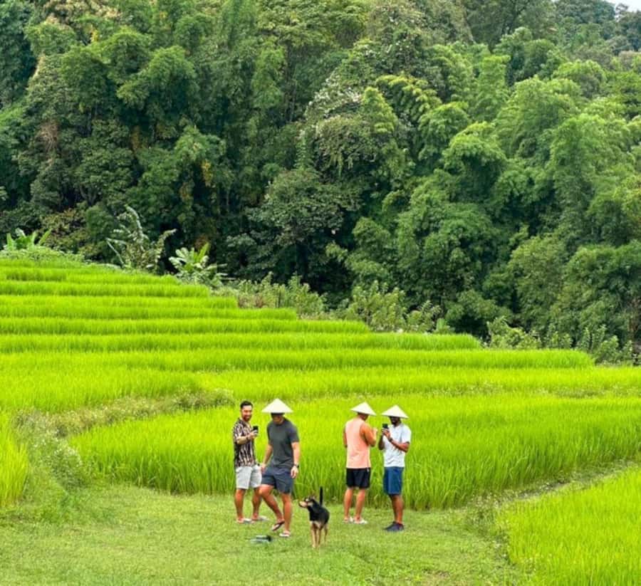 Chiang Mai: Doi Inthanon Park Hiking & Elephants Sanctuary - Ethical Elephant Sanctuary: Watching Rescued Elephants the Right Way