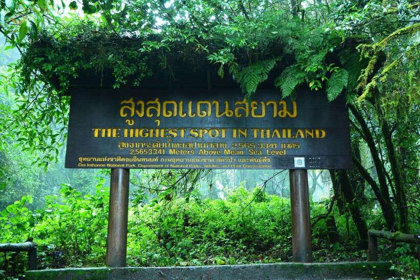 Chiang Mai: Doi Inthanon Park Tour & Kew Mae Pan Trail Hike - Key things I’d plan around before you go