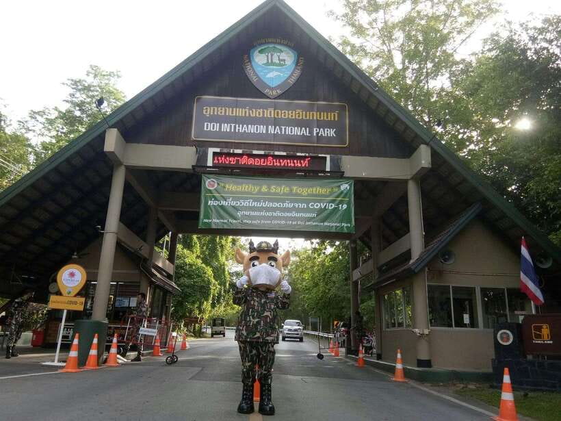 Chiang Mai: Doi Inthanon Park Tour & Kew Mae Pan Trail Hike - Options, value, and the one thing that can change your total: national park fee included vs excluded