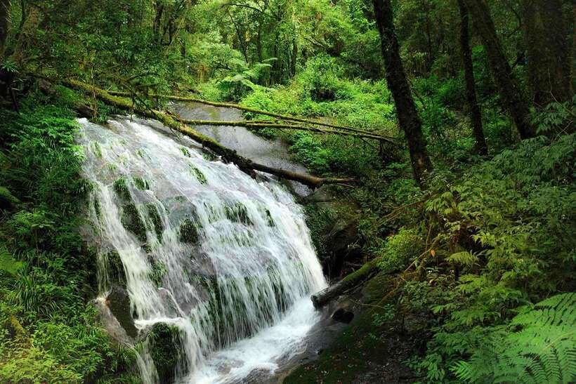 Chiang Mai: Doi Inthanon Park Tour & Kew Mae Pan Trail Hike - How the small-group format shapes your experience