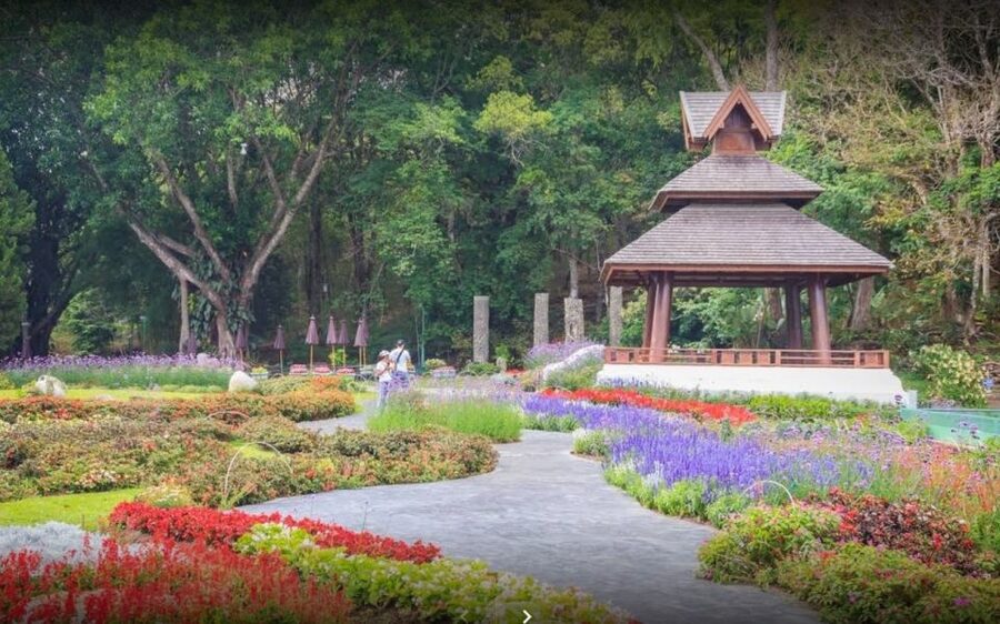 Chiang Mai: Doi Suthep National Park Leisure Hiking & Biking - Biking logistics that matter: group size, guides, and support truck