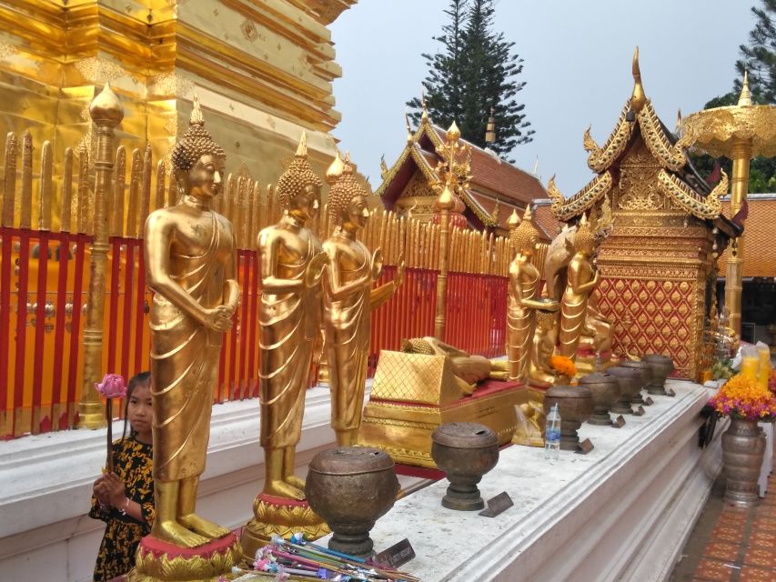 Chiang Mai: Doi Suthep National Park Leisure Hiking & Biking - Queen Summer Palace viewpoints: a scenic breather with context