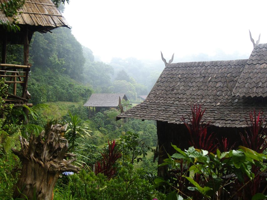 Chiang Mai: Doi Suthep National Park Leisure Hiking & Biking - Lunch on the mountain: vegetarian and vegan options