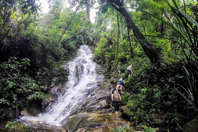 Chiang Mai: Doi Suthep Summit Trek – 7 Hour Pure Hiking Adventure - The hike from Monk’s Trail to the hill tribe lunch stop