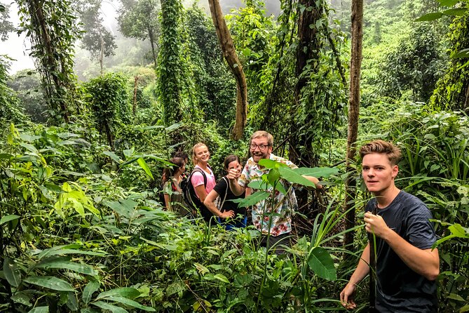 Chiang Mai: Doi Suthep Summit Trek – 7 Hour Pure Hiking Adventure - Guides, safety, and pacing that keeps you sane