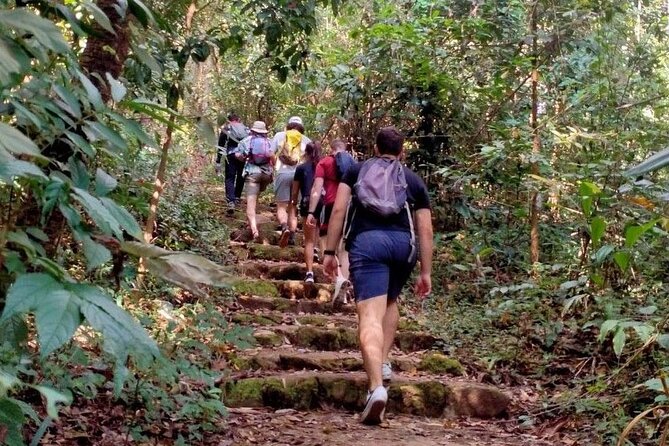 Chiang Mai: Doi Suthep Summit Trek – 7 Hour Pure Hiking Adventure - What to bring (and what to expect on the trail)
