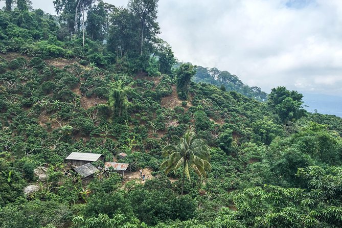 Chiang mai Hike & Downhill Bike Adventure –Suthep National Park - The downhill you came for: Doi Suthep-Pui National Park off-road riding