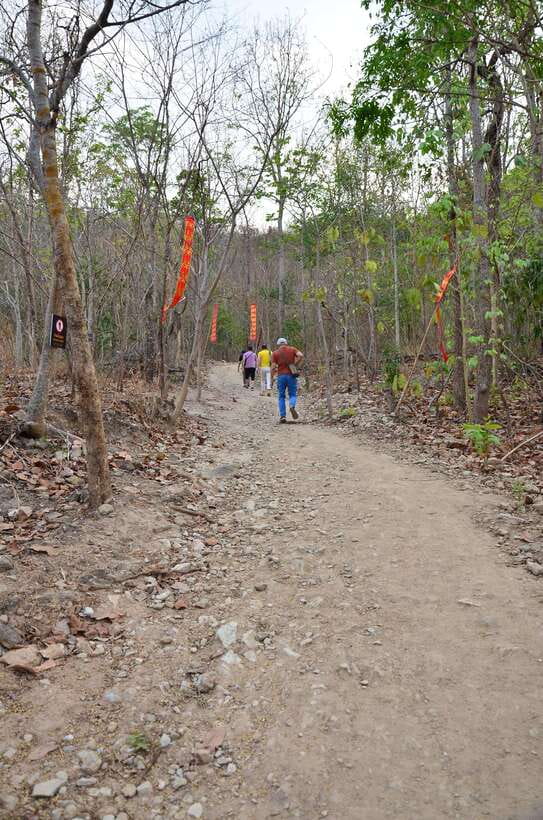Chiang Mai: Hike on Monk’s Trail and Doi Suthep Private Tour - Who this private Doi Suthep trek is best for (and who should skip it)