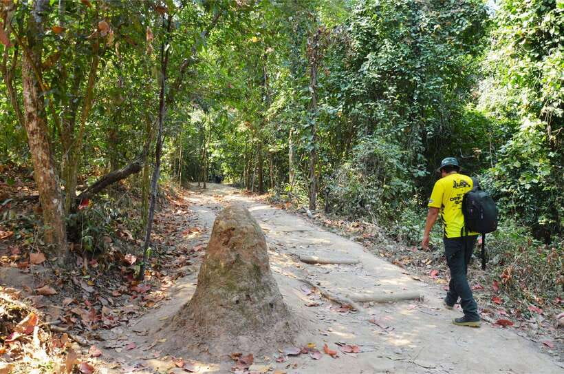 Chiang Mai: Hike on Monk’s Trail and Doi Suthep Private Tour - Practical tips: what to bring and how to avoid temple problems