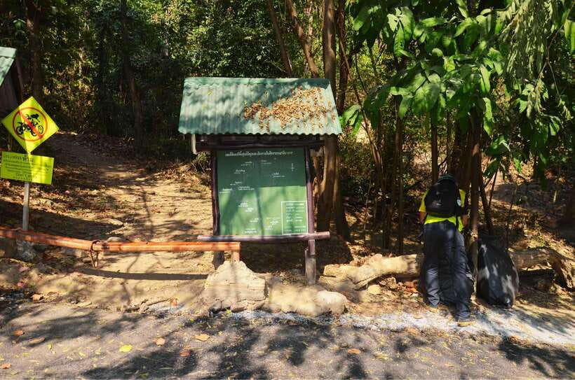 Chiang Mai: Hike on Monk’s Trail and Doi Suthep Private Tour - Should you book this tour?