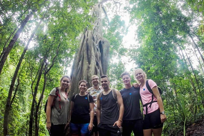 Chiang Mai: Inthanon, Elephant Sanctuary Observation & Waterfall - Value check: what you get for about $81.12