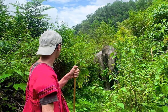 Chiang Mai: Inthanon, Elephant Sanctuary Observation & Waterfall - Doi Inthanon’s Twin Royal Stupas and the 2,565-meter view