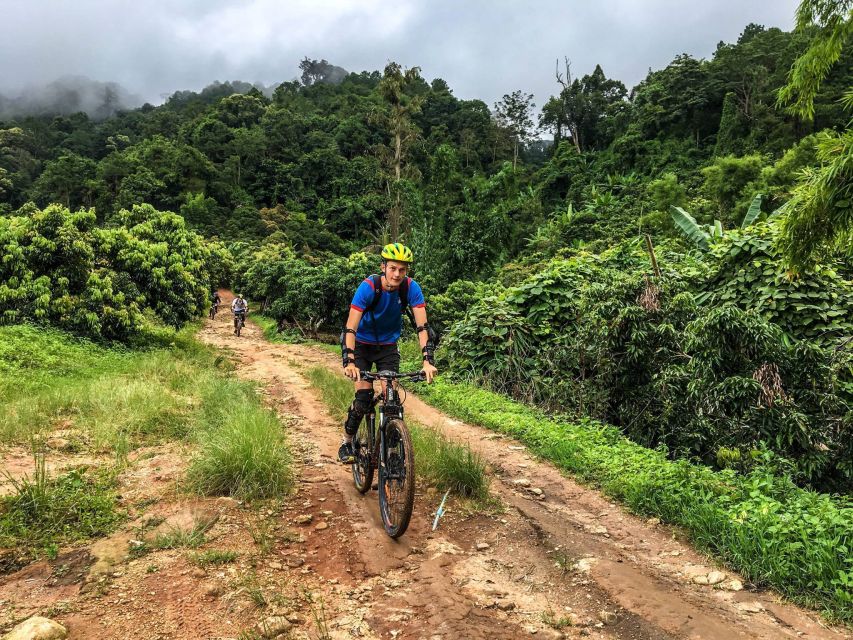 Chiang Mai: Suthep National Park Hiking & DH Mountain Biking - Key things that make this tour worth it