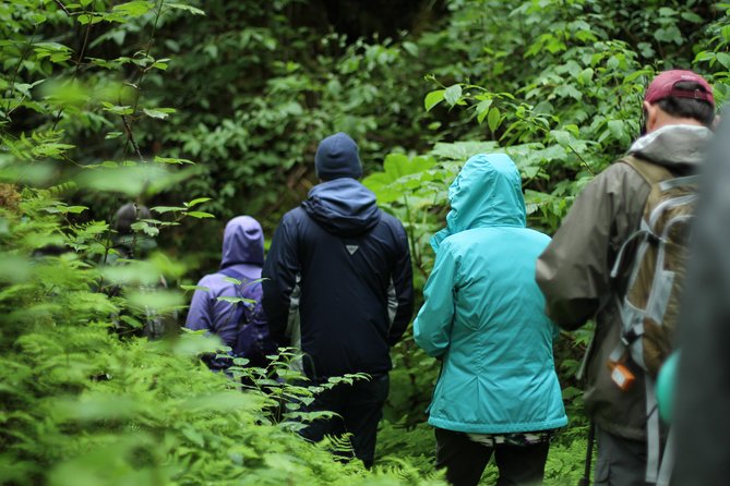 Chilkoot Trail Hike, Float, and Summit Drive - Skagway warm-up stops: downtown stories, overlook photos, and the Dyea drive
