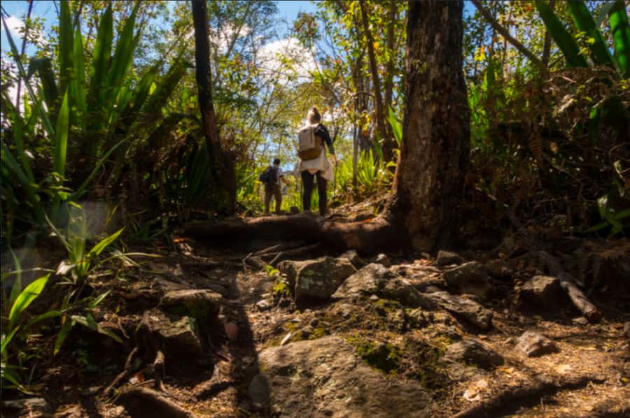 Cilaos: La Chapelle Hiking Experience - Why La Chapelle in Cilaos feels special
