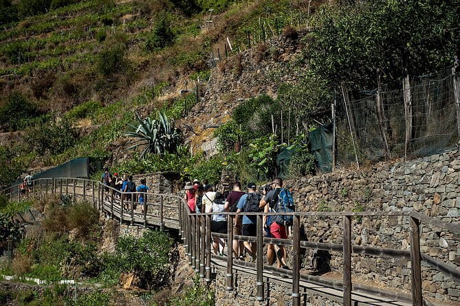 Cinque Terre Day Trip with Optional Hiking or Pisa - Manarola to Corniglia: The Steps, the Cliffs, and Why This Walk Matters