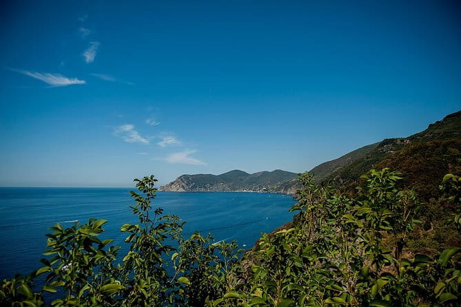 Cinque Terre Day Trip with Optional Hiking or Pisa - Your Florence–Cinque Terre Ride: Comfort, Group Size, and Guide Talk