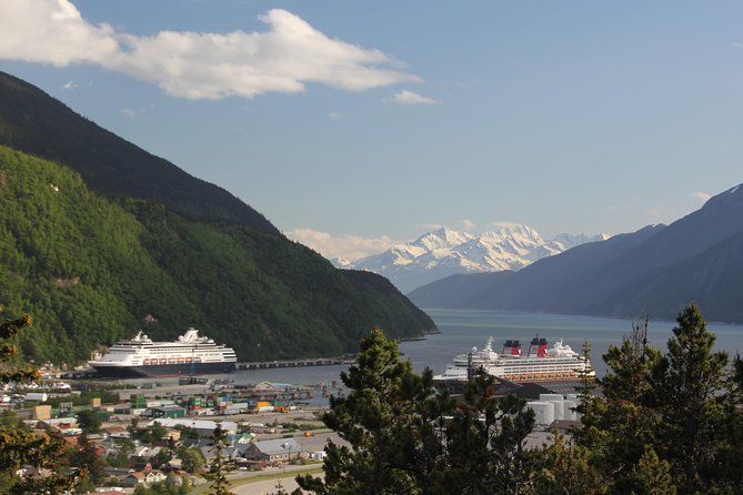 City and Mountain Summit Shore Excursion in Skagway - Key highlights you’ll feel on the day
