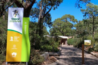 Cleland Wildlife Park Experience - from Adelaide including Mt Lofty Summit - Cleland Wildlife Park: 86 acres of open space and real bush vibes