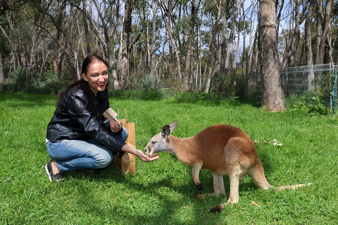 Cleland Wildlife Park Experience - from Adelaide including Mt Lofty Summit - Price and value: is $88.94 fair for what you get?