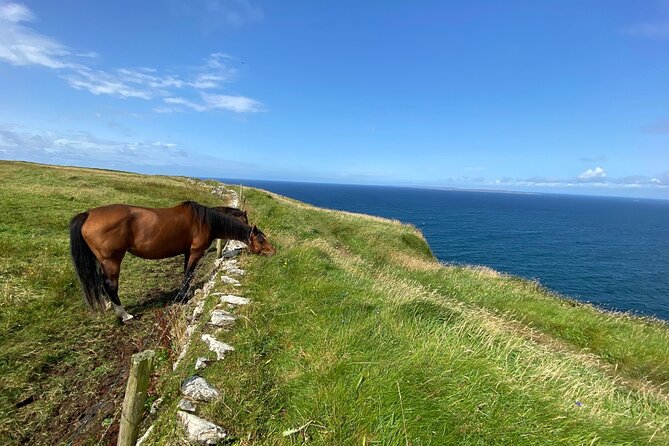 Cliffs of Moher Hiking Tour from Galway - Small Group - The 5-mile hike: how the walk works and what to expect