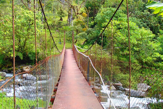 Cloud Forest Wildlife Hike 8:30am (Minimum of 2 people required ) - Pipeline Trail vs Lost Waterfalls: Picking the Right Challenge